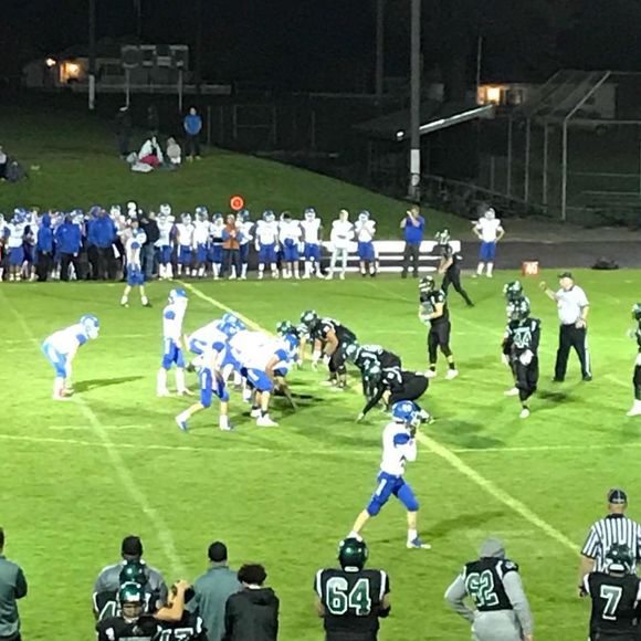 Meet your Posher, Wilber - Picture 1 of 1